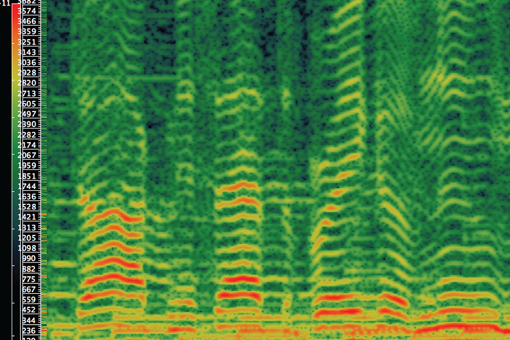 Spectrogram by Steven Rings